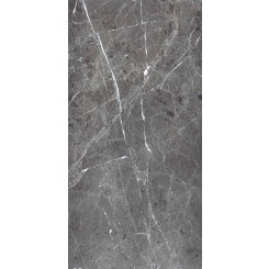 Керамогранит Primavera PR208 Ardesia Grafito Polished 